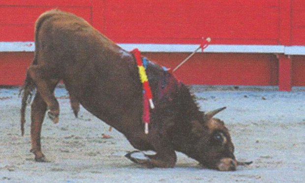 Petition : TARASCON-LA HONTE : Ce n'est pas LA JUSTICE, mais L'A-JUSTICE qui a été rendue  !