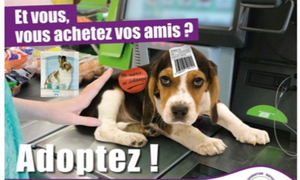 Petition : INTERDIRE LA VENTE D’ANIMAUX CHEZ NOA ANIMALERIE