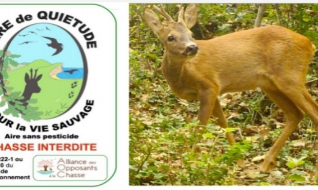 Petition : Chasse : pour la sécurité, le partage et le respect de la nature !