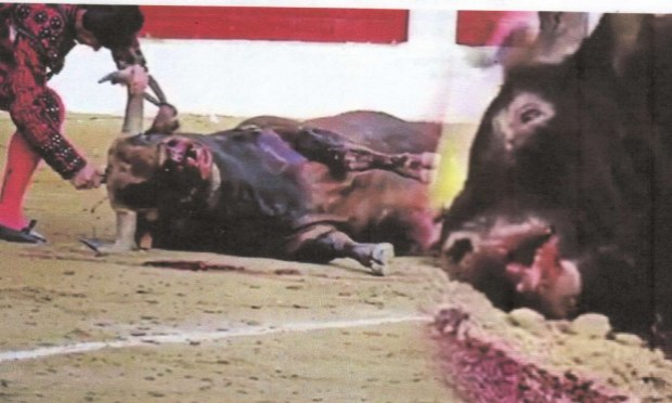 Petition : TARASCON-LA HONTE : Ce n'est pas LA JUSTICE, mais L'A-JUSTICE qui a été rendue  !