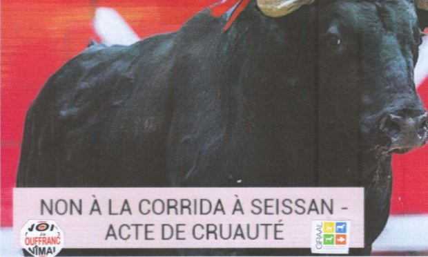 Petition : Ensemble, abolissons la corrida