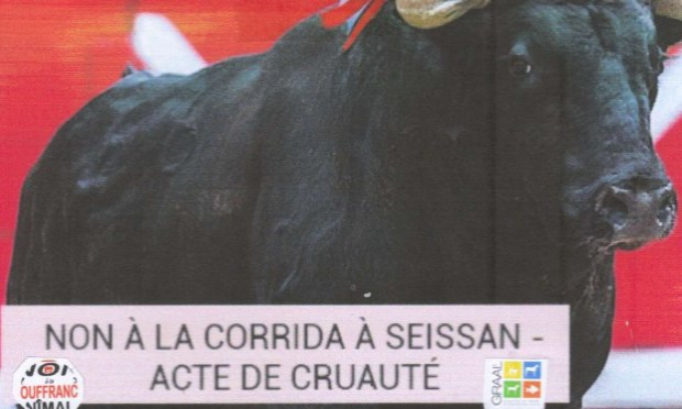 Petition : CORRIDAS : STOP  !