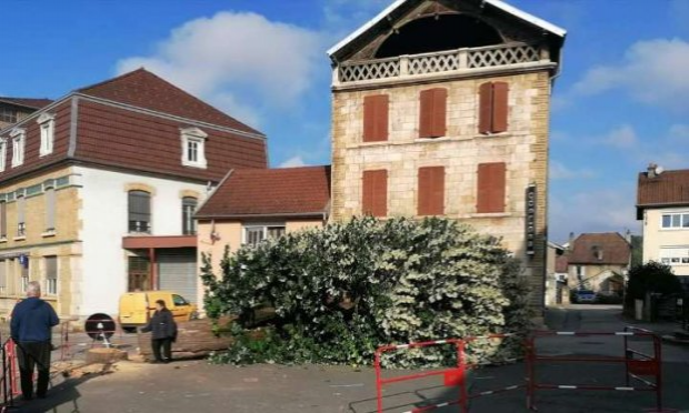 Petition : Sauvons le tilleul centenaire de la place du 7ème Régiment des Chasseurs d'Afrique à L'Isle sur le Doubs - 25