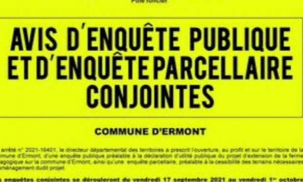 Petition : Pitié pour les chats !