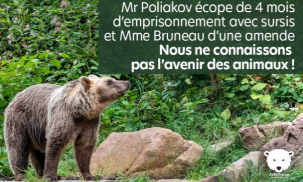 Petition : Condamnation pénale des Poliakov : nous demandons le placement immédiat de l'ensemble des animaux.