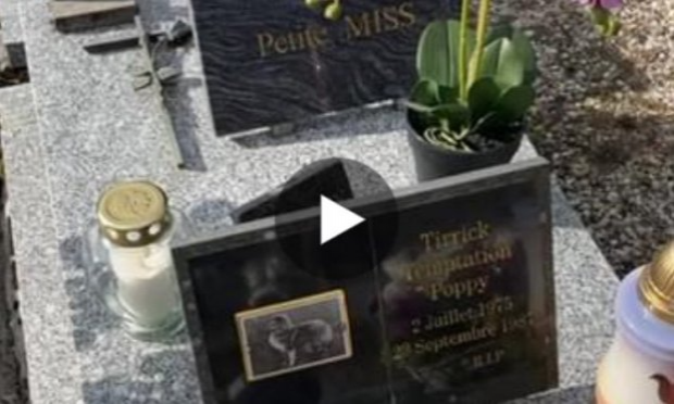 Petition : DROIT DE REPOSER AUX CÔTÉS DE SES COMPAGNONS AU CIMETIÈRE ANIMALIER DE CADAUJAC
