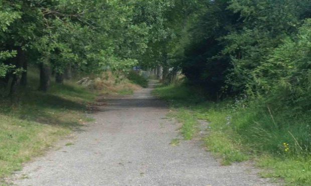 Petition : Sauvons la forêt du collège