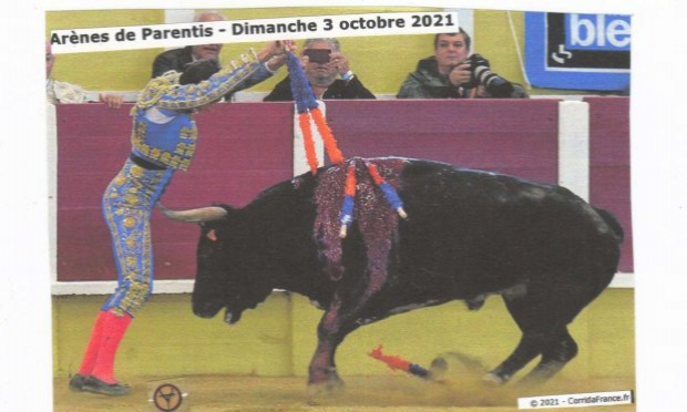 Petition : Ensemble, abolissons la corrida