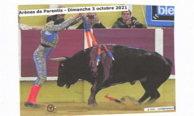 Petition : CORRIDAS : STOP  !