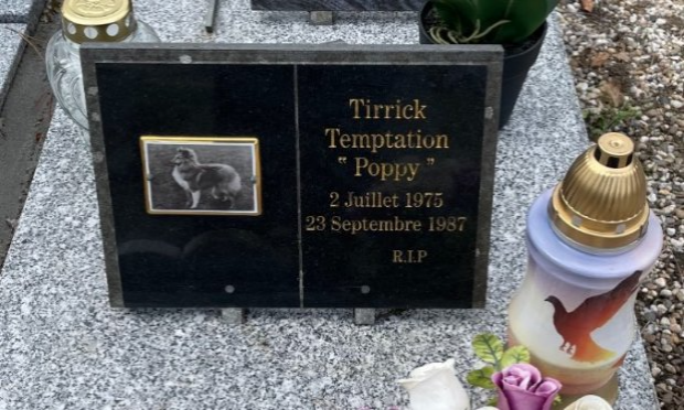 Petition : DROIT DE REPOSER AUX CÔTÉS DE SES COMPAGNONS AU CIMETIÈRE ANIMALIER DE CADAUJAC