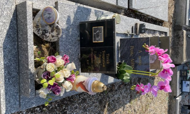 Petition : DROIT DE REPOSER AUX CÔTÉS DE SES COMPAGNONS AU CIMETIÈRE ANIMALIER DE CADAUJAC