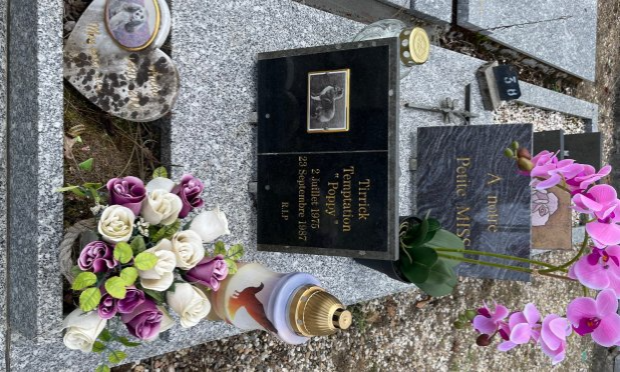 Petition : DROIT DE REPOSER AUX CÔTÉS DE SES COMPAGNONS AU CIMETIÈRE ANIMALIER DE CADAUJAC