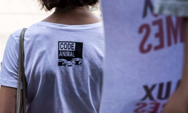 Petition : Des refuges et sanctuaires pour les animaux sauvages maintenant en France !