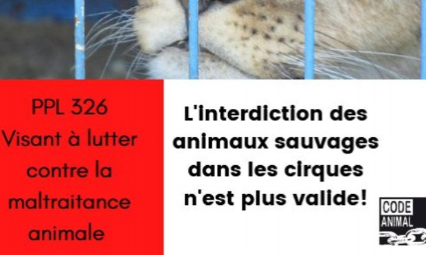 Petition : Députés la République en Marche : nous voulons des cirques sans animaux !