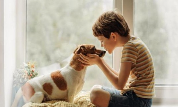 Petition : Pour une généralisation de la médiation animale dans les EHPAD