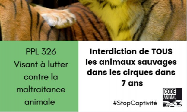 Petition : Députés la République en Marche : nous voulons des cirques sans animaux !