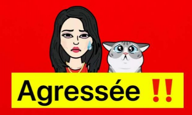 Petition : Pitié pour les chats !