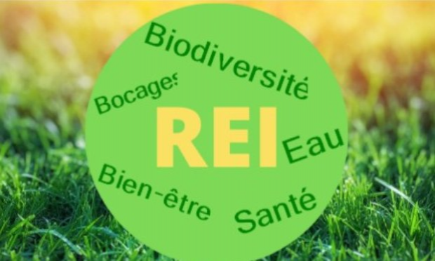 Petition : Une ferme de 400 vaches ne peut être protectrice de l'environnement !