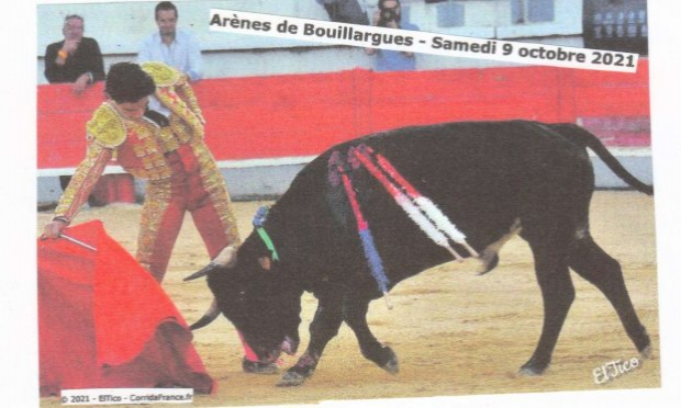 Petition : CORRIDAS : STOP  !