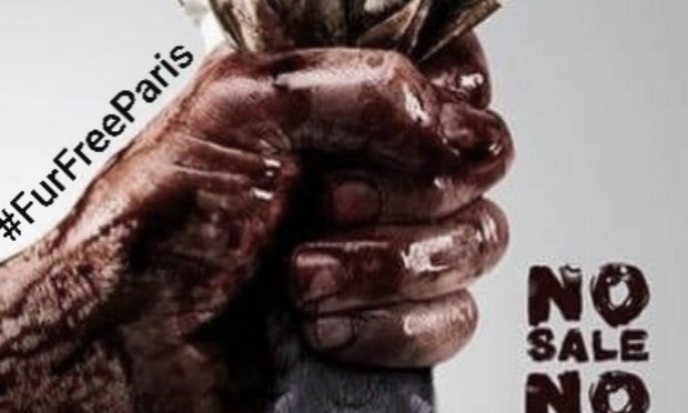 Petition : Interdiction des ventes de fourrures animales à Paris