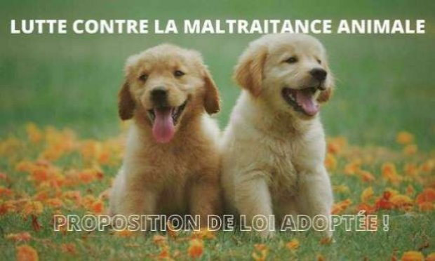 Petition : Pour que les actes de cruauté envers les animaux soient considérés comme un crime