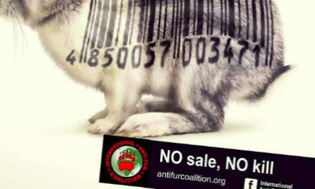 Petition : Interdiction des ventes de fourrures animales à Paris