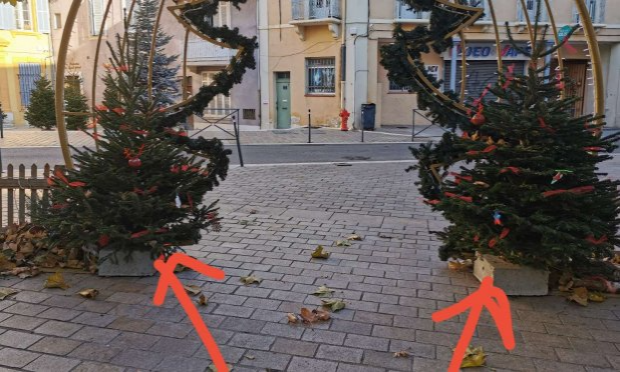 Petition : NON au boycott de la forêt des sapins pour nos enfants