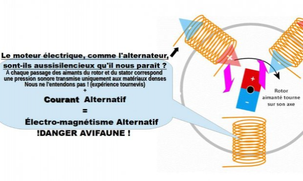 Petition : ALERTE ! NON A L’ÉCOCIDE DES ÉOLIENNES PELAGIQUES IMPLANTÉES ET FLOTTANTES (Méditerranée et océans) !