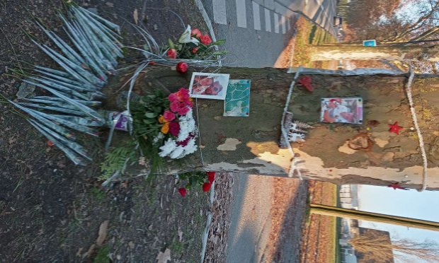 Petition : Stop aux accidents !