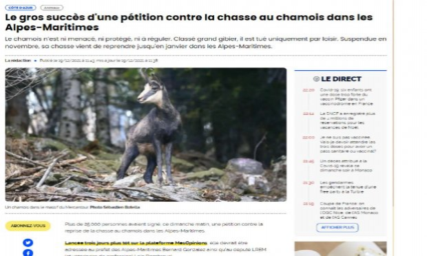 Petition : DES CHAMOIS EN DANGER DANS LES ALPES-MARITIMES - URGENCE SAUVONS CES CHAMOIS