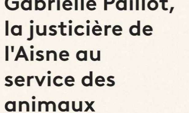 Petition : Pour que les actes de cruauté envers les animaux soient considérés comme un crime