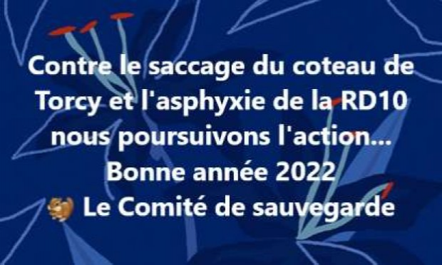 Petition : Sauvegardons le coteau de Torcy