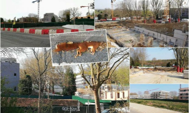 Petition : Sauvegardons le coteau de Torcy