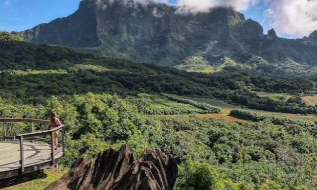Petition : Ne sacrifiez pas la vallée de Faaroa pour un centre d'enfouissement de déchets
