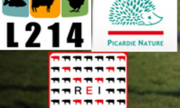Petition : Une ferme de 400 vaches ne peut être protectrice de l'environnement !