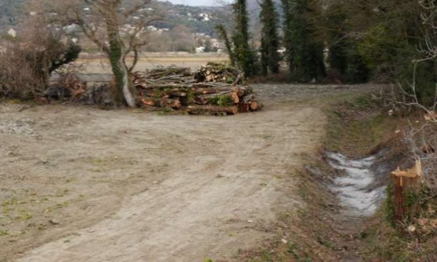 Petition : Halte à la destruction systématique de nos forêts alluviales