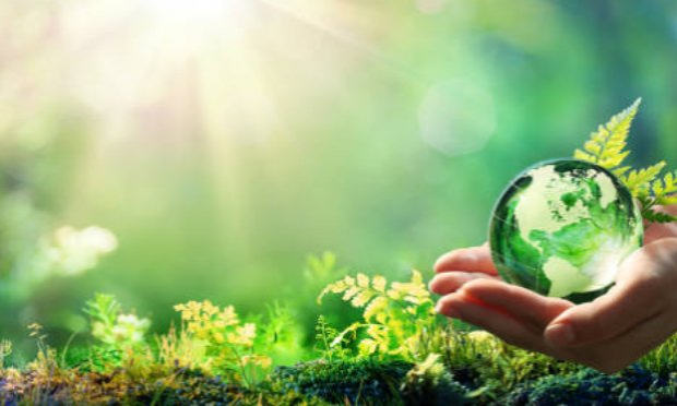 Pétition : Impact écologique de nos pratiques funéraires : Légalisons l'humusation !