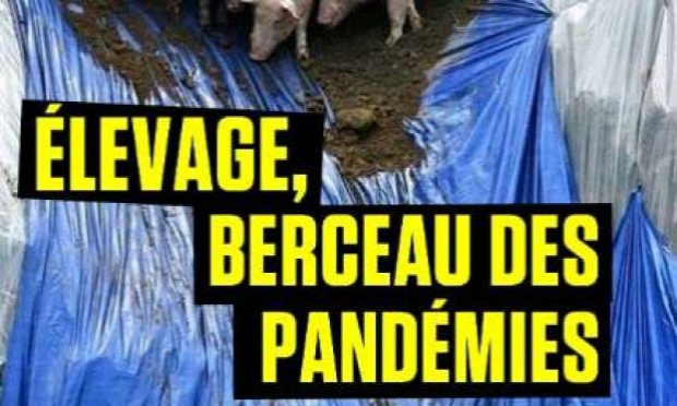 Petition : Défis environnementaux, sanitaires, torture animale : végétalisons notre alimentation.
