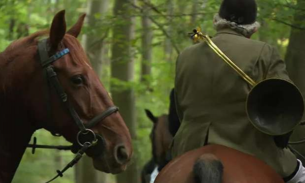 Petition : Pour l'abolition de la chasse à courre