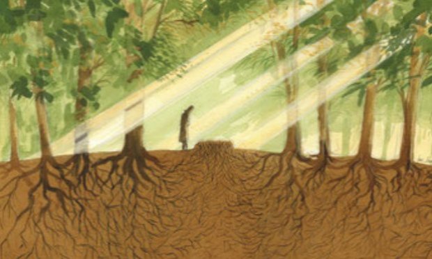 Petition : Impact écologique de nos pratiques funéraires : Légalisons l'humusation !