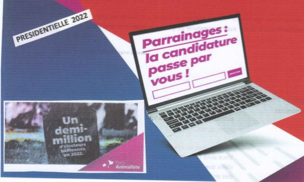 Petition : Ensemble, abolissons la corrida