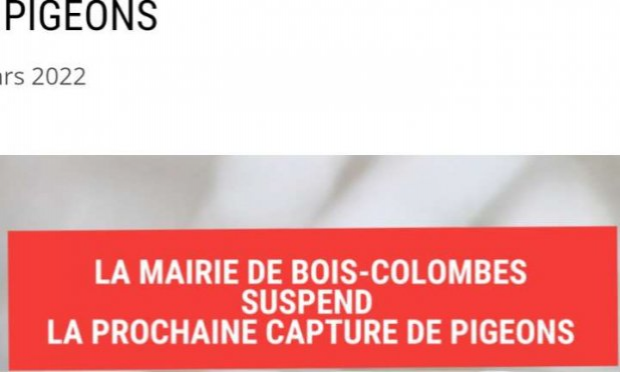 Petition : Stop au gazage des pigeons de Bois Colombes