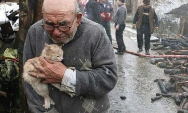 Petition : Urgence pour les animaux en Ukraine
