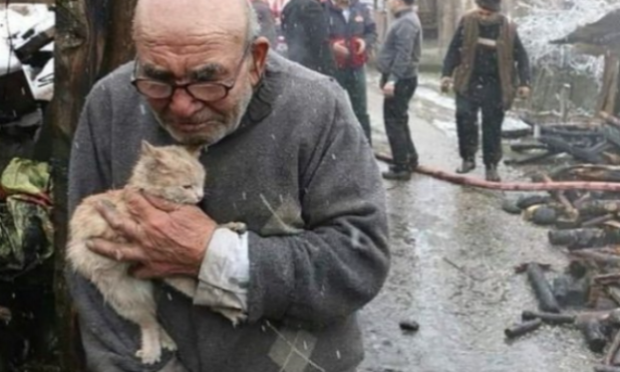 Petition : Urgence pour les animaux en Ukraine