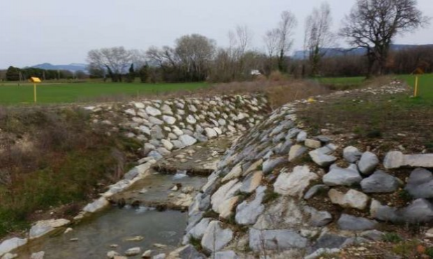 Petition : Halte à la destruction systématique de nos forêts alluviales