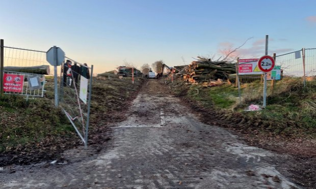 Petition : Massacre à la tronçonneuse : les 167 hêtres qui bordent l’allée du Champ de Bataille, au Neubourg, vont être abattus ce mois de Novembre