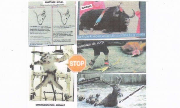 Petition : Ensemble, abolissons la corrida