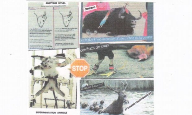 Petition : STOP à l'HYPOCRISIE, PLACE à la VERITE  ! SALON de l'AGRICULTURE = SALON de l'EGORGEMENT programmé de TOUS les ANIMAUX 