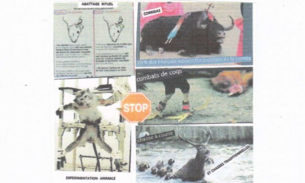 Petition : CORRIDAS : STOP  !