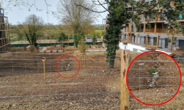Petition : Sauvegardons le coteau de Torcy